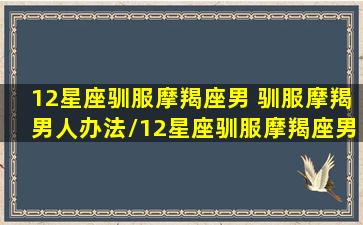 12星座驯服摩羯座男 驯服摩羯男人办法/12星座驯服摩羯座男 驯服摩羯男人办法-我的网站